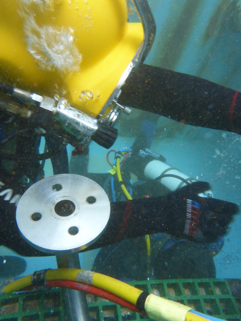 Introduction to occupational diving (26)