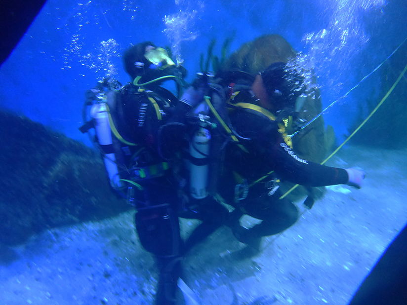 Commercial diver rescue drill training in Aquarium