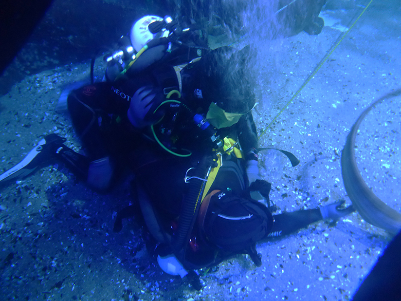 Occupational diver rescue drill training in Aquarium