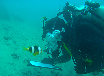 ADAS Part 1 Diving Student Marine Survey