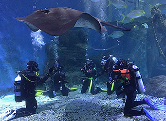 ADAS Part 1 students in Aquarium tank