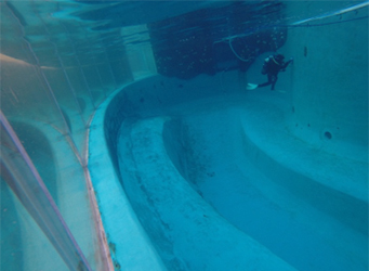 Aquarium Divers cleaning wall