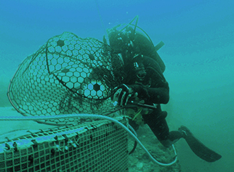 Diver with net