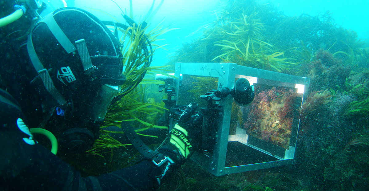 Scientific Diver Training