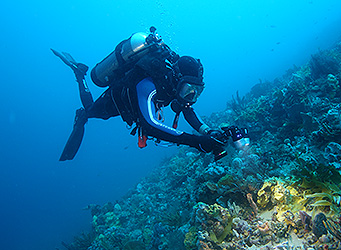 ProDiver with hyperbaric chamber