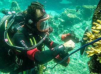 Part 1R Aquarium student undertaking cleaning task