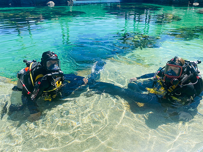 Sea World Aquarium Diving Students