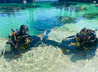 Sea Worls Aquarium course students